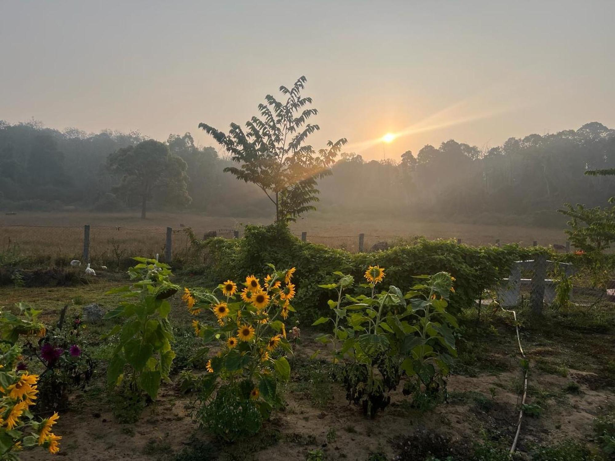 The Deer Meadows Villa มูดูมาไล ภายนอก รูปภาพ